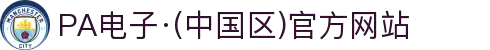 PA电子·(中国区)官方网站